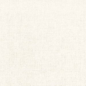 Turbo - Vanilla - Designer Fabric from Online Fabric Store