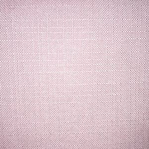 Turbo - Blush - Discount Designer Fabric - fabrichousenashville.com