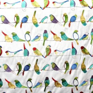 Flying Colors - Jubilee - Designer Fabric from Online Fabric Store