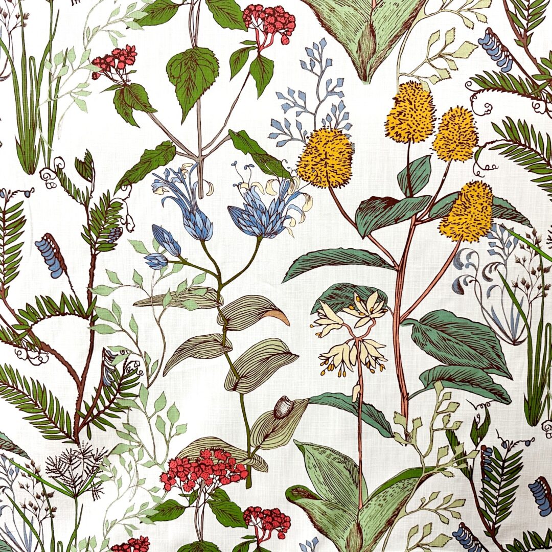 Botanical Sketch Large - Multi - Designer Fabric from Online Fabric Store