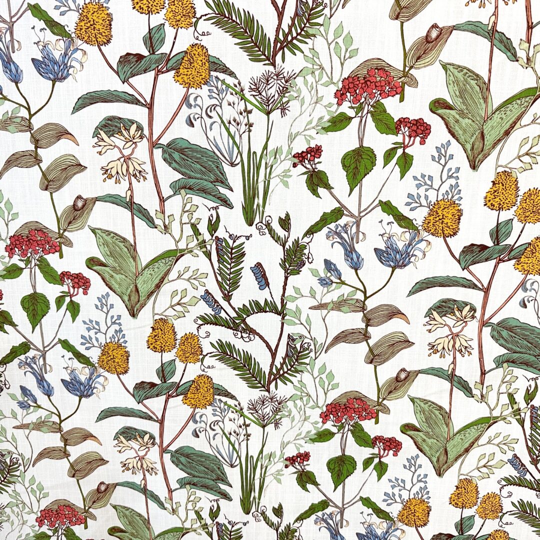 Botanical Sketch Small - Multi - Designer Fabric from Online Fabric Store