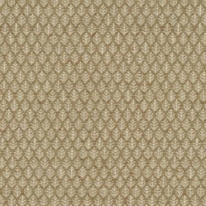 Fern Fair - Honey - Designer Fabric from Online Fabric Store